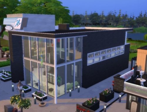 Modern Gym Sundrona by chytracka98 at Mod The Sims
