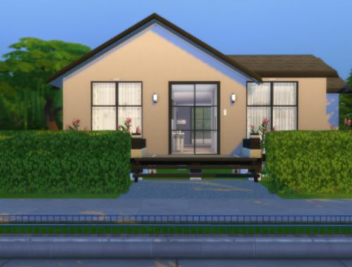 Modern Home