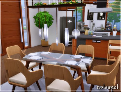 Modern Lori