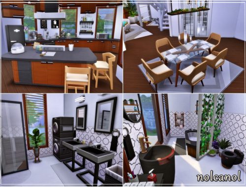 Modern Lori