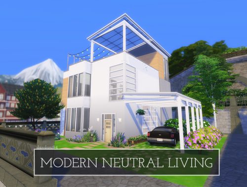 Modern Neutral Living