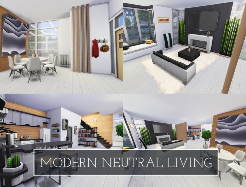 Modern Neutral Living