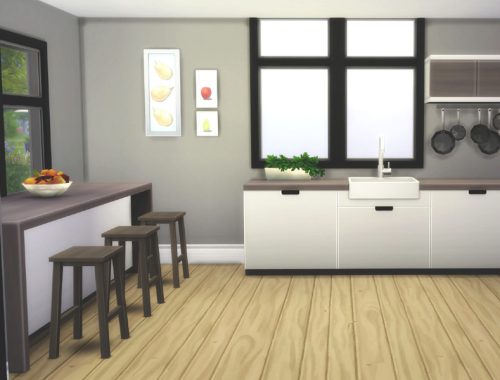 Modern One Storey