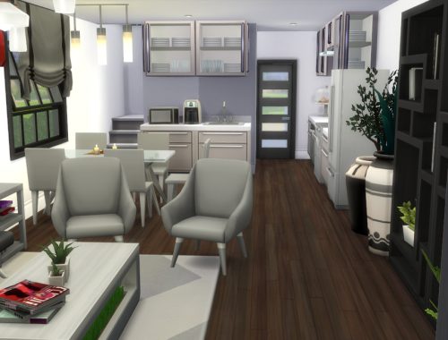 Modern Penthouse