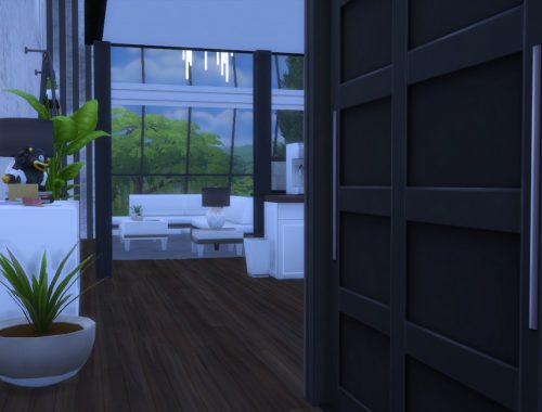 Modern Penthouse