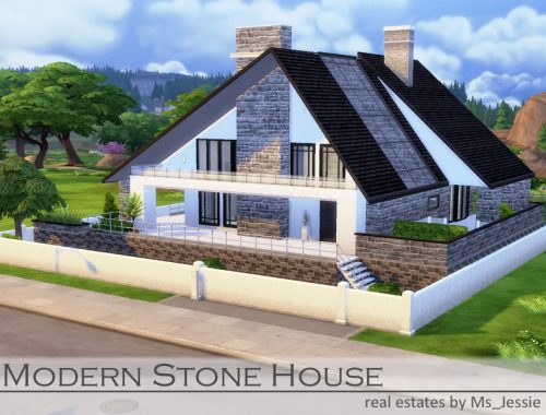 Modern Stone House