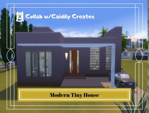 Modern Tiny House