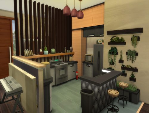Modern Tiny House