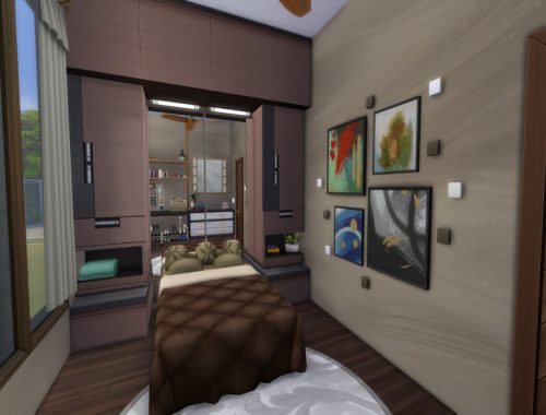 Modern Tiny House
