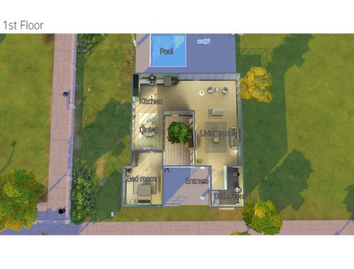 Modern Tree House