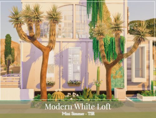 Modern White Loft