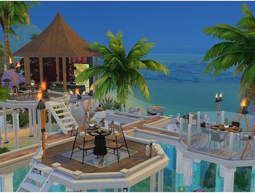 Moonlight Dinner