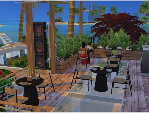 Moonlight Dinner