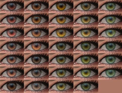 Morpho - Eyes 19 HQ