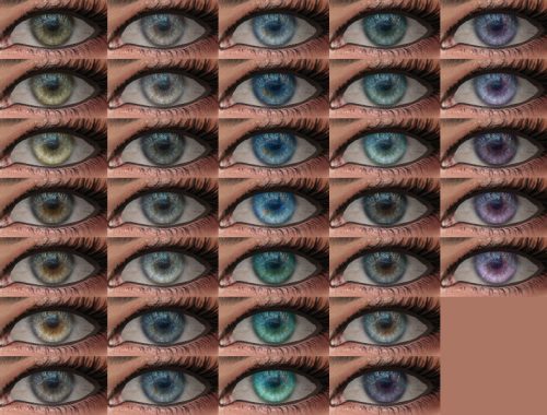 Morpho - Eyes 19 HQ
