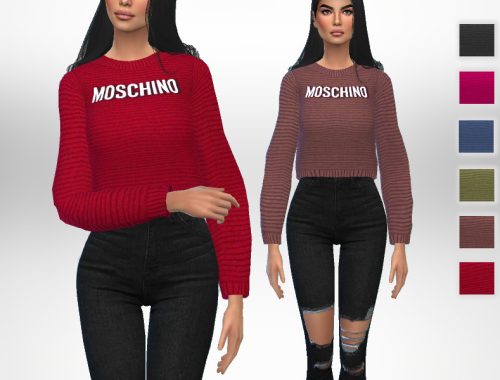 Moschino sweater ( Mesh Needed)