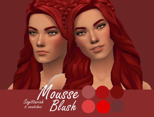 Mousse Blush