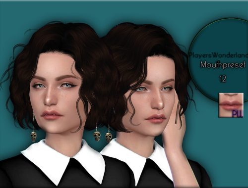 Mouthpreset N 12