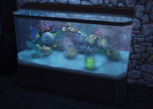 Mr.Maritime Aquarium by simsi45