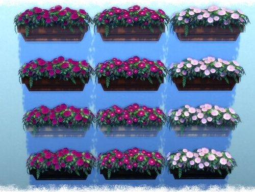 Mumumental Mums Window box by Wykkyd