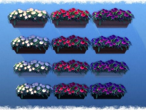 Mumumental Mums Window box by Wykkyd
