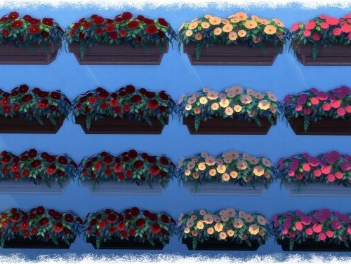 Mumumental Mums Window box by Wykkyd