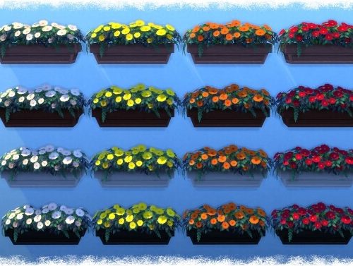 Mumumental Mums Window box by Wykkyd