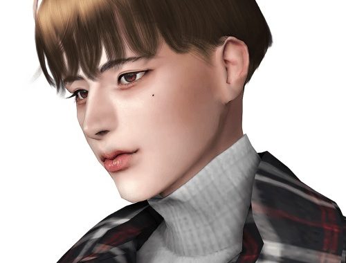 Mush Hair at Lemon Sims 4