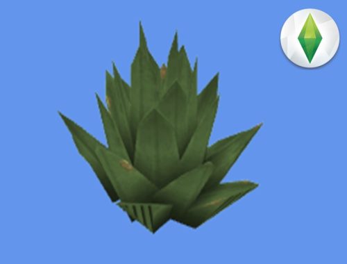 Natural Bush Disposal