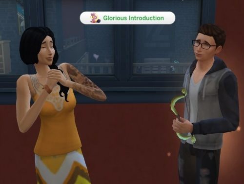 Natural Celebrity Trait by GalaxyVic at Mod The Sims