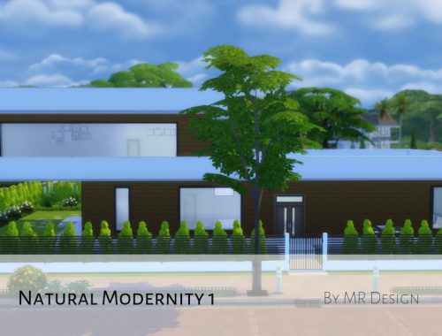 Natural Modenity