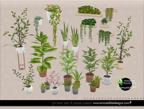 Naturalis Plants II