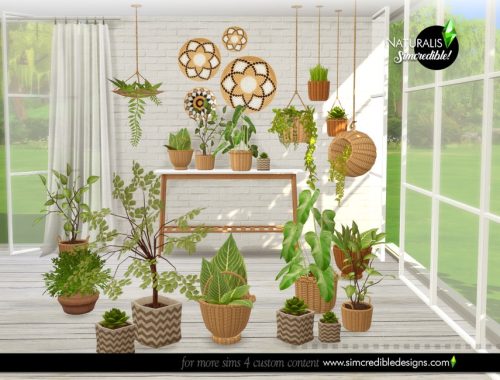Naturalis Plants