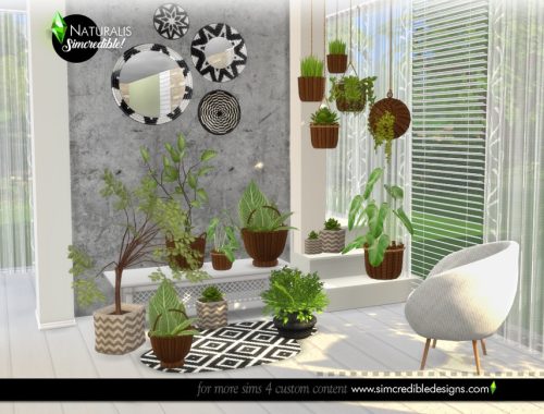 Naturalis Plants