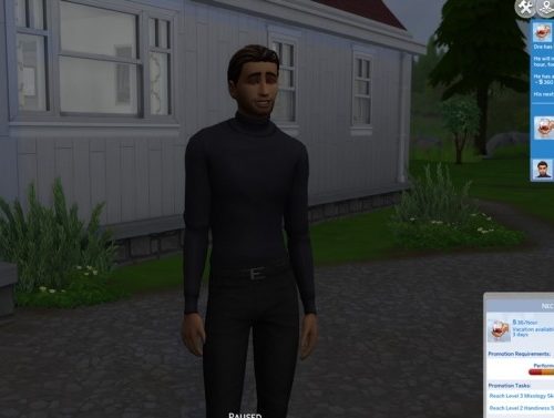 Nectar Maker Career (TS3 conversion) by Dero at Mod The Sims