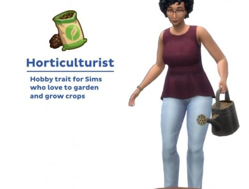 New Hobby Traits