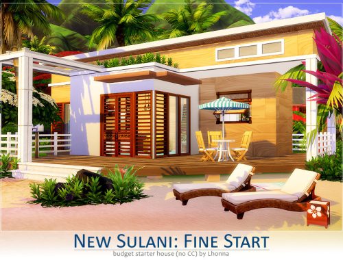 New Sulani: Fine Start