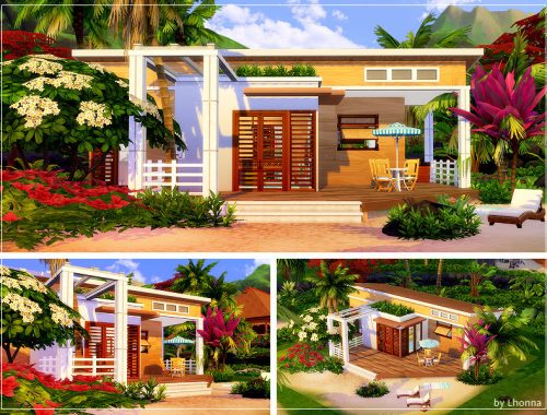 New Sulani: Fine Start