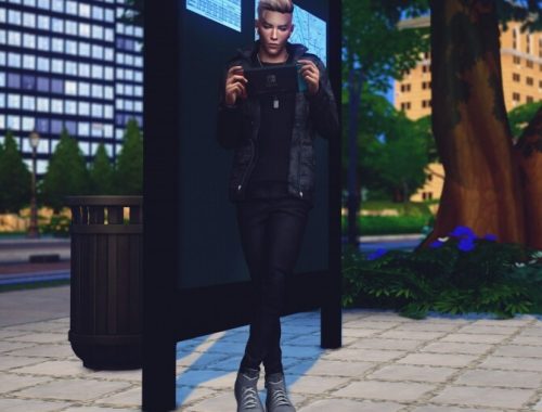Nintendo Switch Pose Pack at Katverse
