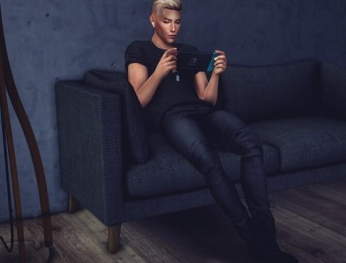 Nintendo Switch Pose Pack at Katverse