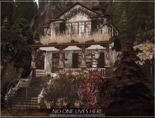 No One Lives Here