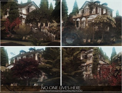No One Lives Here