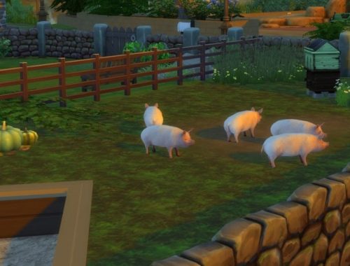 Norvik pig farm at KyriaT’s Sims 4 World
