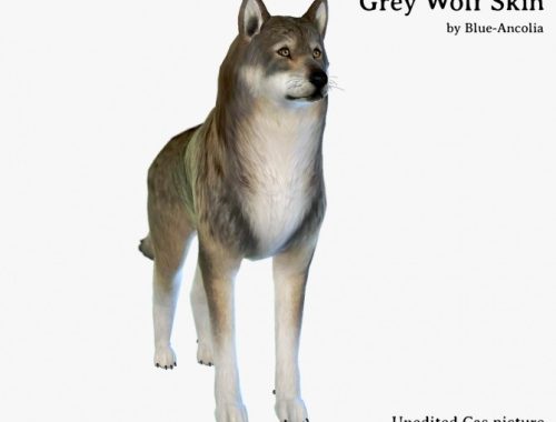Nymeria high content wolfdog at Blue Ancolia