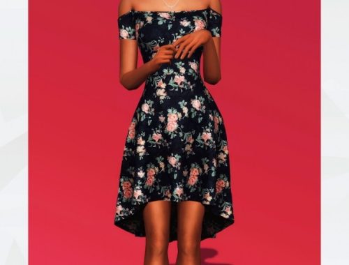 Off Shoulder Skater Dress at Gorilla