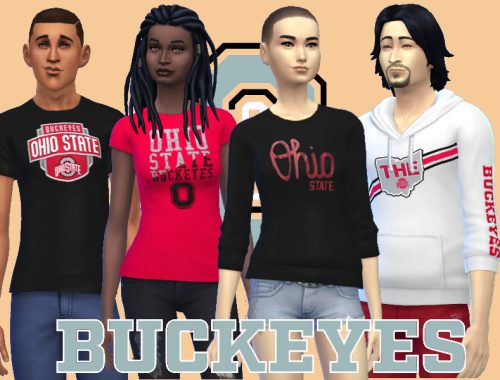 Ohio State Buckeyes Collection