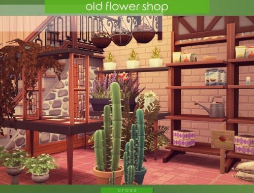 Old Flower Shop at Cross Design