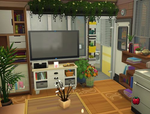 Olive - tiny home - no cc