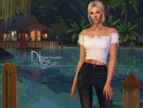 Open Shoulder Blouse