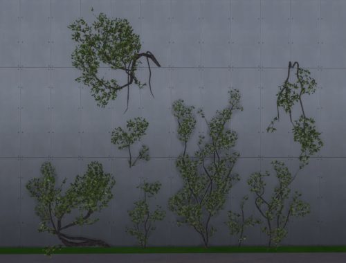 Organic Carbon
